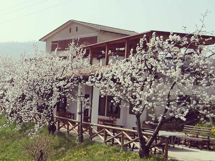 Agriturismo Al Ciliegio Villa Marostica Exterior foto